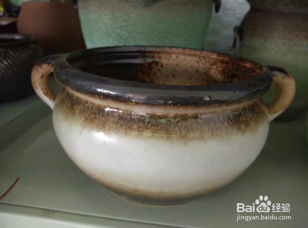 如何把玉露种的美美的，玉露如何开花