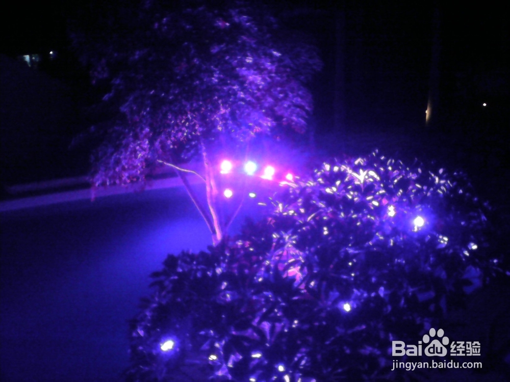 婚庆策划之酒店场地布置