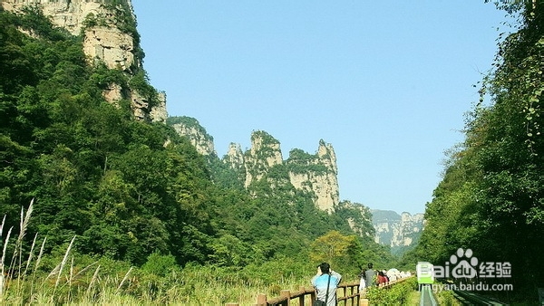 长沙到张家界自由行