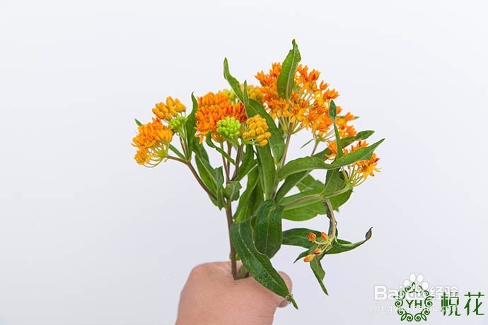 插花入门,野趣自然风花束插花图解