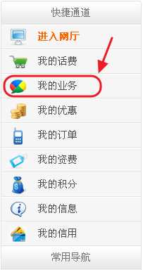 手机开通业务查询