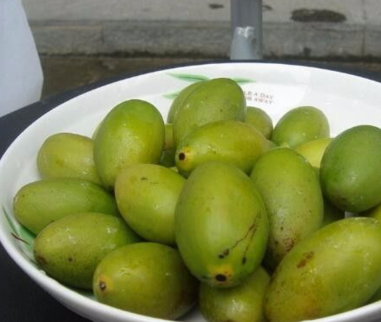 橄榄菜的做法有哪些