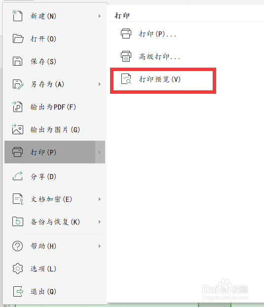 wps19版Excel中如何查看打印预览