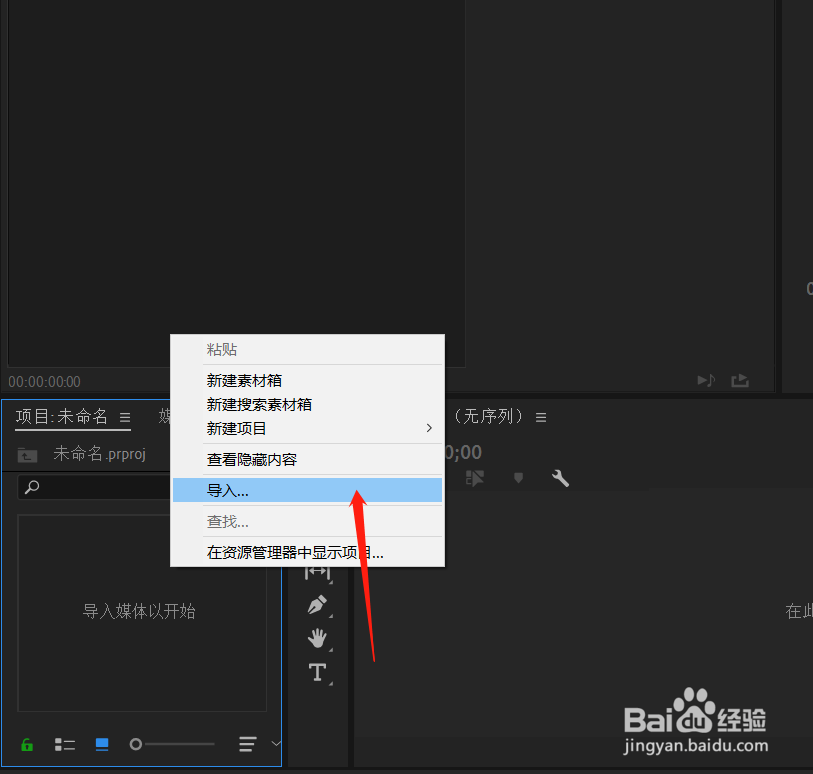 pr导入mp4视频变成音频
