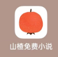 如何开启山楂免费小说的夜间模式