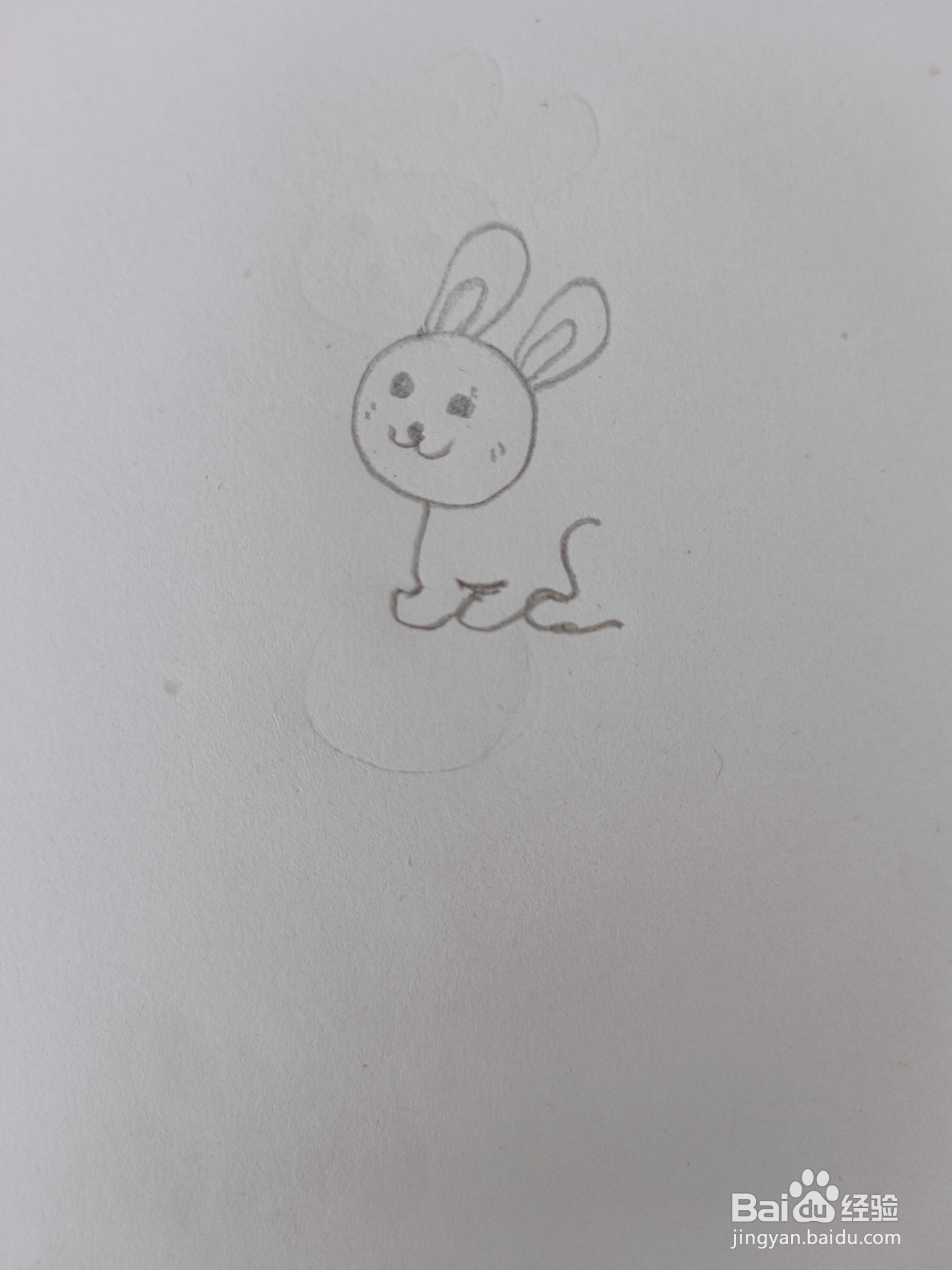 兔子的简单画法