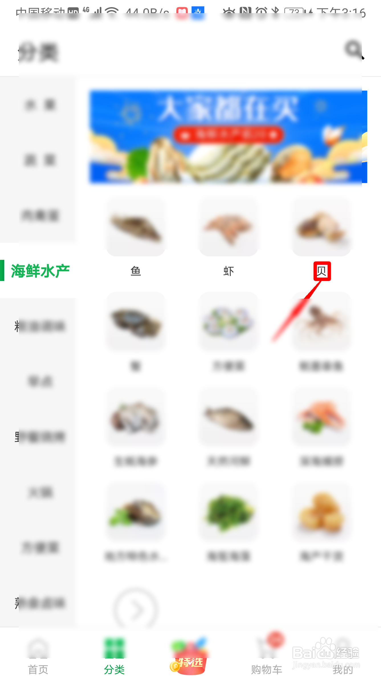 朴朴如何购买贝类海鲜