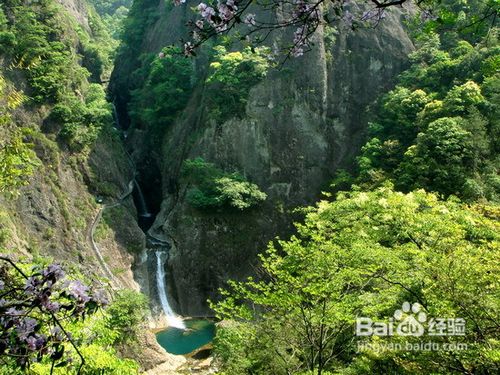 森林旅游十注意