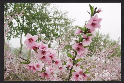 用光影魔术手如何将图片变淡