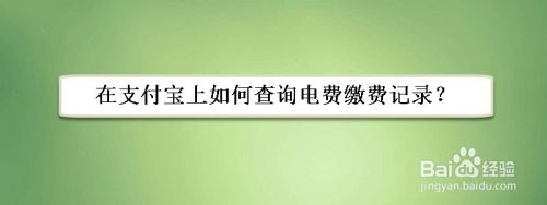 在支付宝上如何查询电费缴费记录？