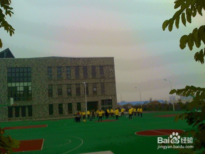 初中学生怎样搞好课外活动