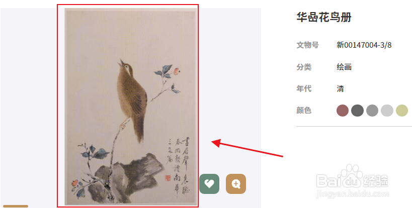 在哪里可以查看华喦花鸟册