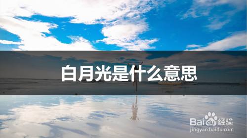 白月光是什么意思