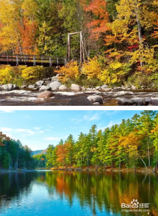 秋季如何拍出好照片？看完这篇文章你就全懂了！