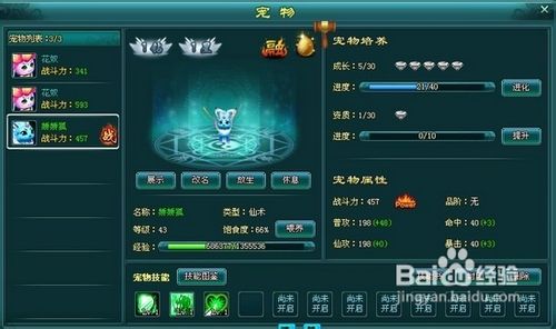 神魔仙界宠物进阶技能深度解析