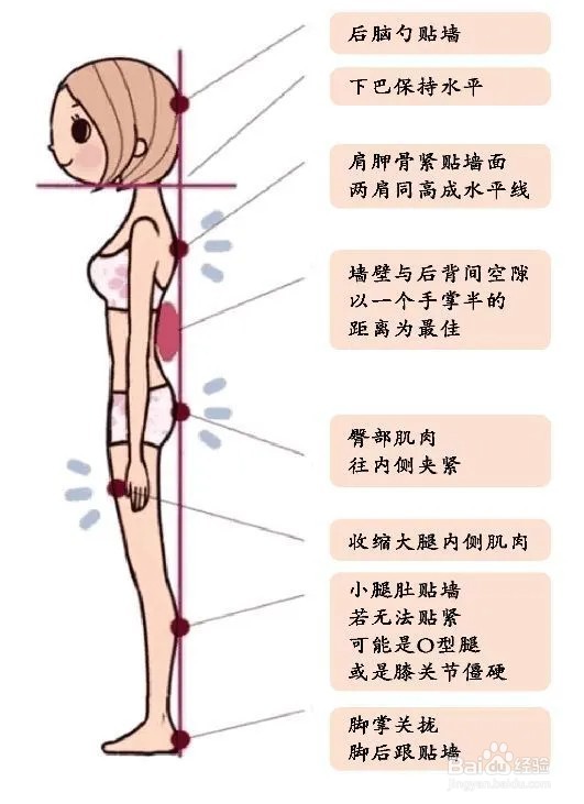 背立式动作怎么做