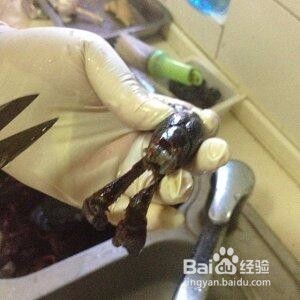 如何清洗小龙虾