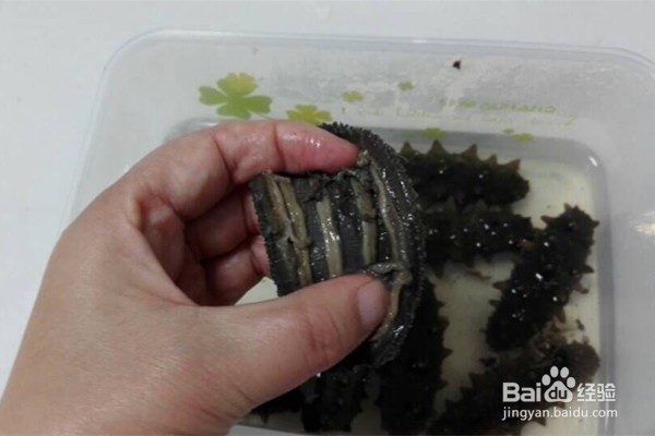怎样发海参？