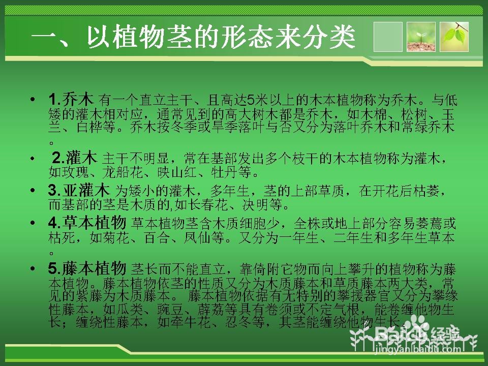 植物的分类介绍