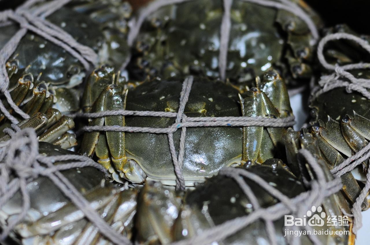 大闸蟹怎么保鲜?是冷藏或冷冻好?