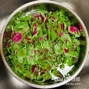蒜炒红苋菜的做法