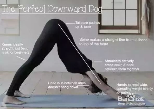 跟大师兄学瑜伽之下犬式 多少人被误导了