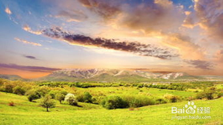 怎样照出完美照片