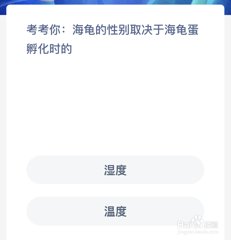 神奇海洋：海龟的性别取决于海龟蛋孵化时的