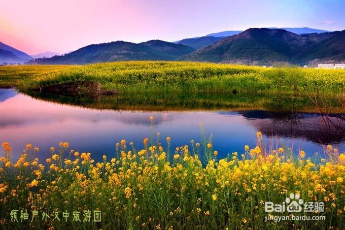 如何拍摄好汉中油菜花