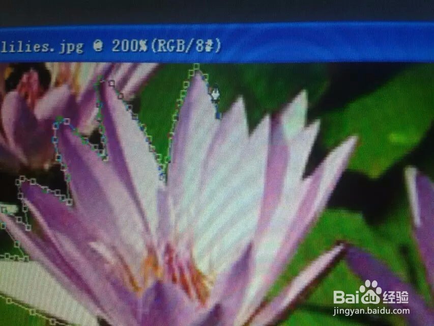 怎样在ps中用钢笔抠图