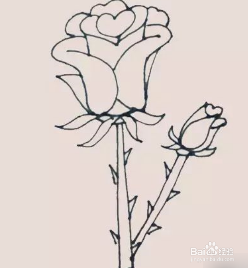 玫瑰花简笔画的画法