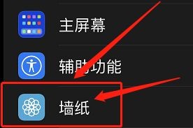 iPhone12手机如何把指定照片放到桌面