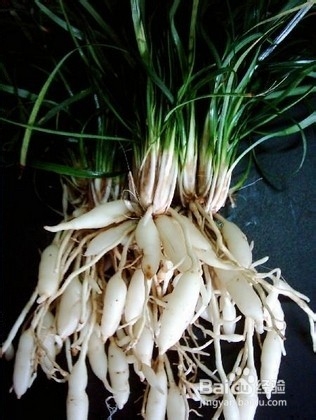 什么食物让您睡得更香