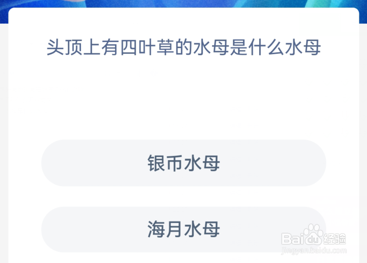 神奇海洋:头顶上有四叶草的水母是什么水母