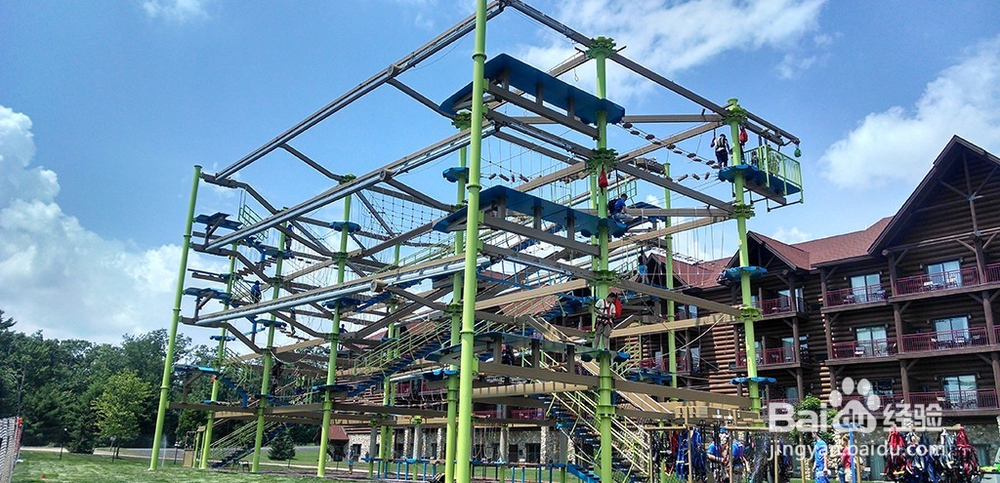 历奇探险 空中步道探险