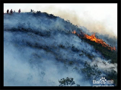 森林救火方法