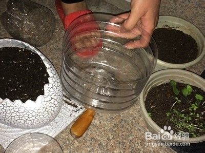 废物利用 油桶变花盆 百度经验