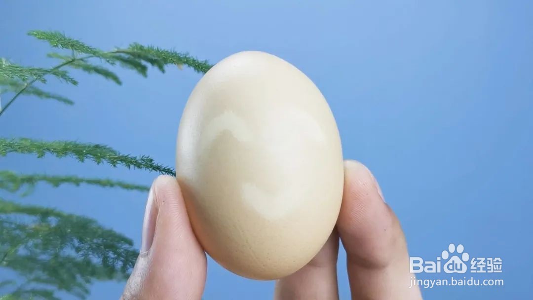 简单的科学小实验
