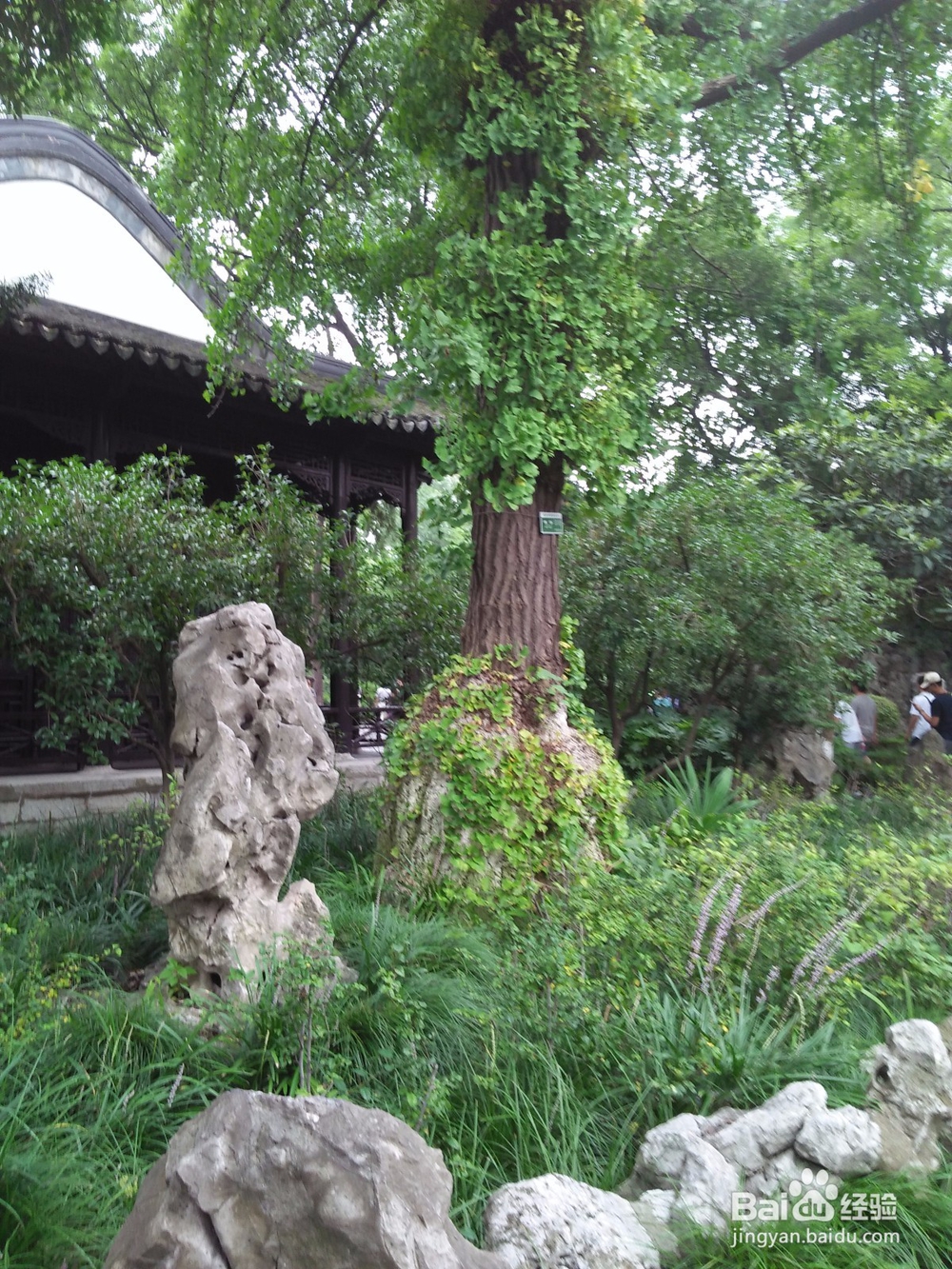 网上游中国南京景观之一