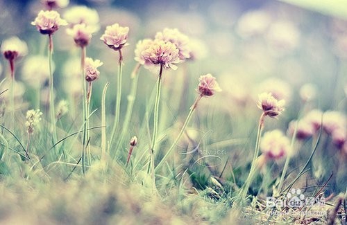 女孩子都喜欢那些表白方式？