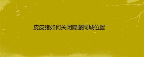 皮皮猪如何关闭隐藏同城位置