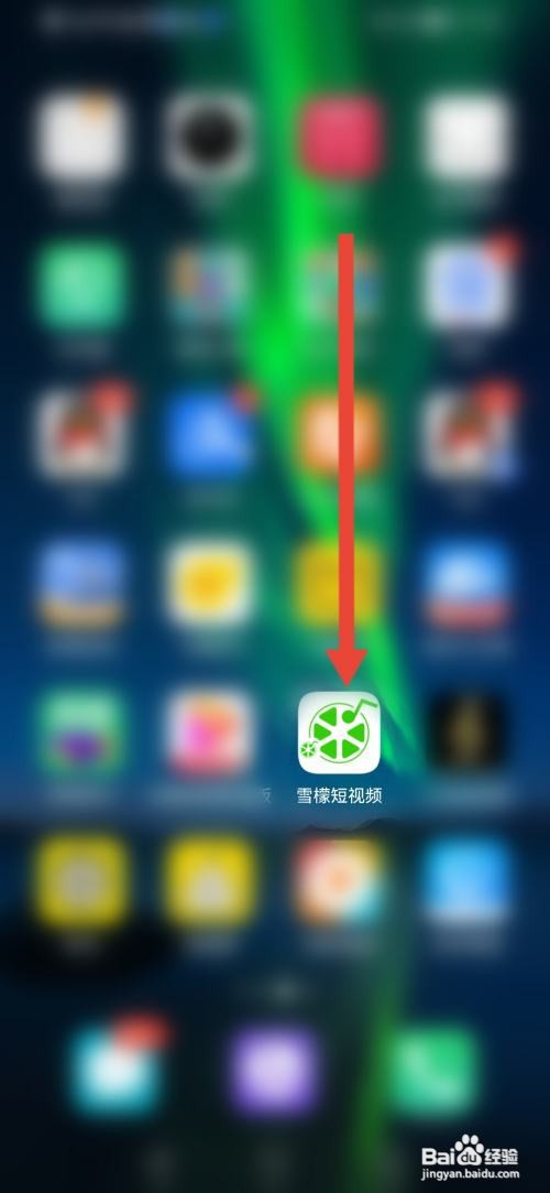 怎么使用雪檬短视频设置收货地址？