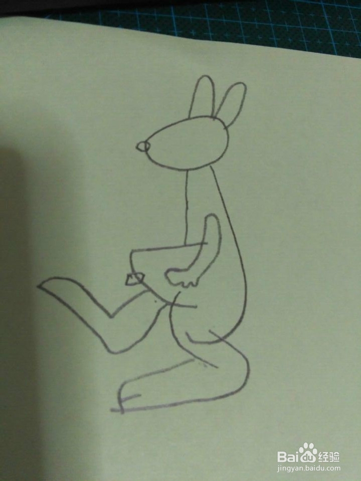 简笔画---袋鼠
