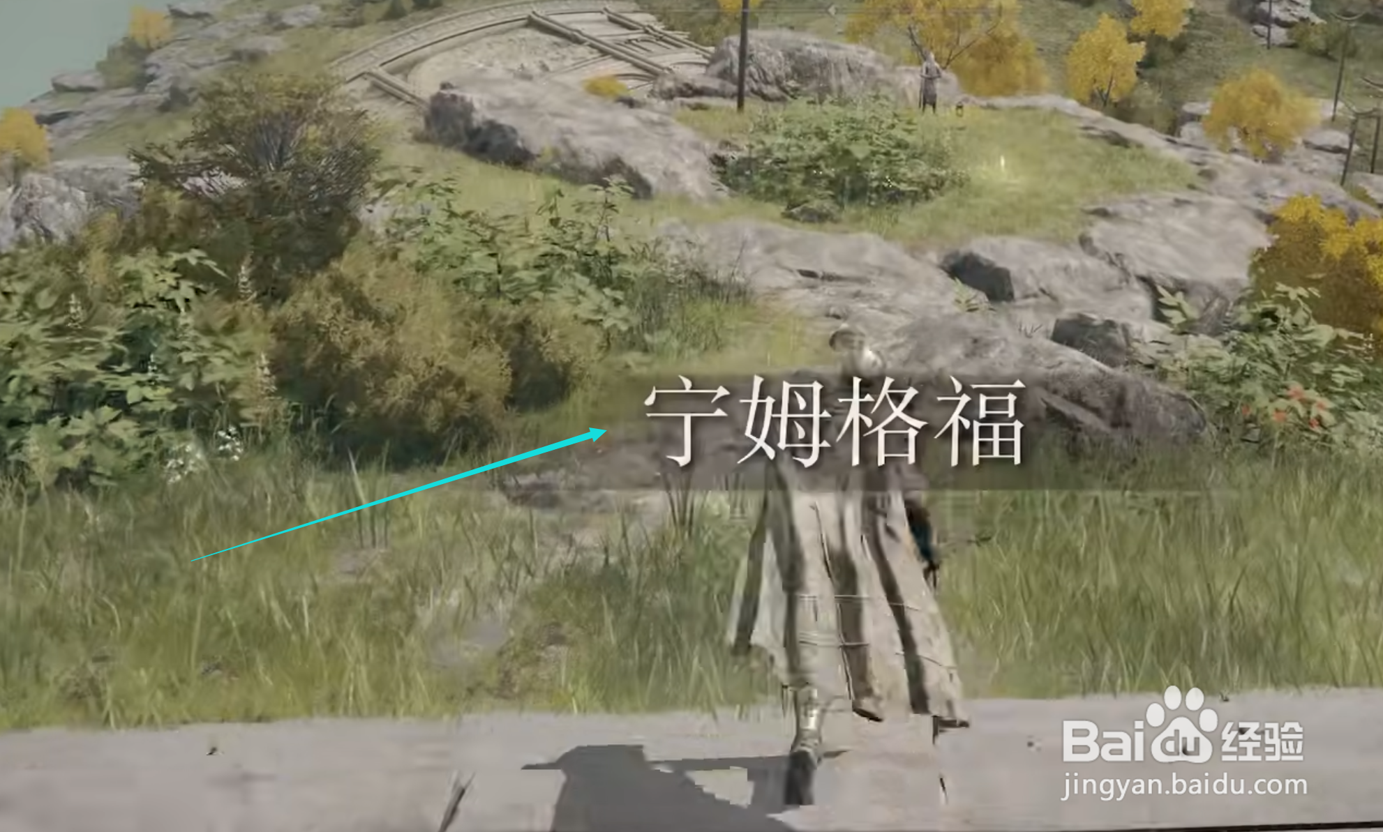 艾尔登法环落叶花怎么获得