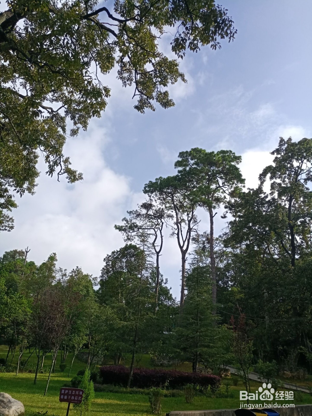 云南游之保山市太保山森林公园