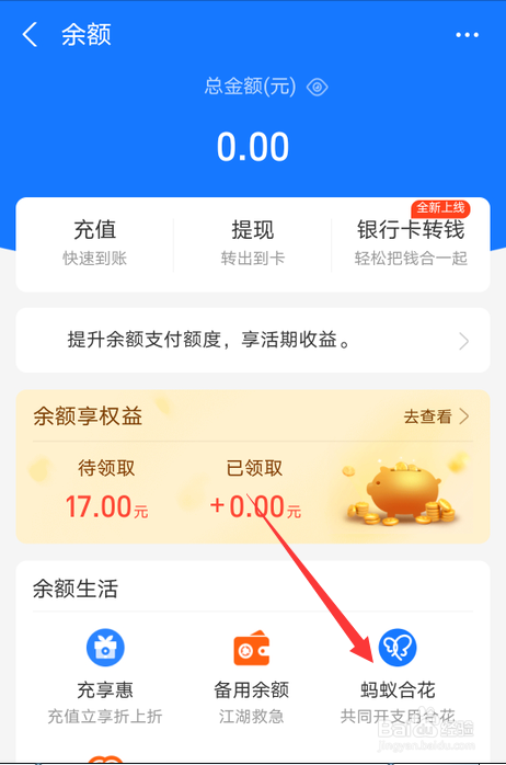 支付寶怎麼新建螞蟻合花群