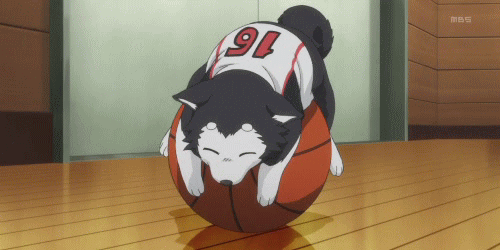 购买蓝球的时候要注意什么