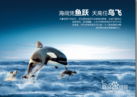 大学毕业生如何选择企业？