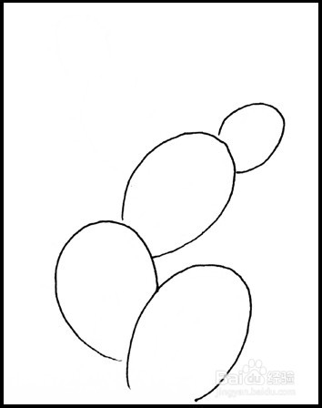 怎样画简笔画（花卉）：[6]仙人掌