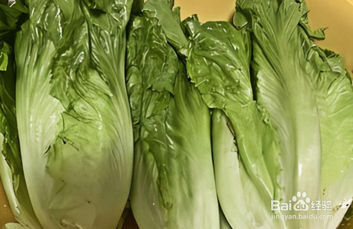 家常菜：蚝油生菜